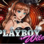 game slot Playboy Wilds