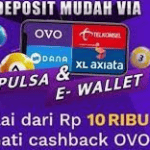 situs agen slot OVO