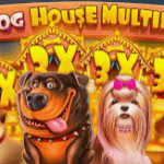 Game slot online The Dog House Multihold